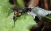 302272 – Photo : Yoann Pelouard – France (72)