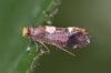 302645 – Photo : Yoann Pelouard – France (72)