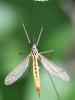 302786 – Photo : Jean-Michel GAREL – France (89)