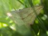 302441 – Photo : Franck Buron – France (38)