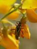302791 – Photo : BourrinOman – France (12)