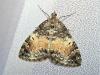 302505 – Photo : Denis Bucaille – France (60)