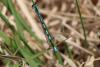 302581 – Photo : timpasteque – Belgique