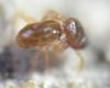302471 – Photo : Goulven Guillard – France (63)