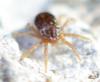 302472 – Photo : Goulven Guillard – France (63)
