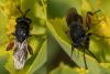 302801 – Photo : éric Pensa – France (13)