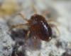 302474 – Photo : Goulven Guillard – France (63)