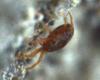 302476 – Photo : Goulven Guillard – France (63)