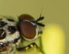 302847 – Photo : Maxime Zucca – France (26)
