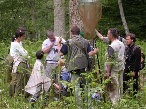 Rambouillet 2005