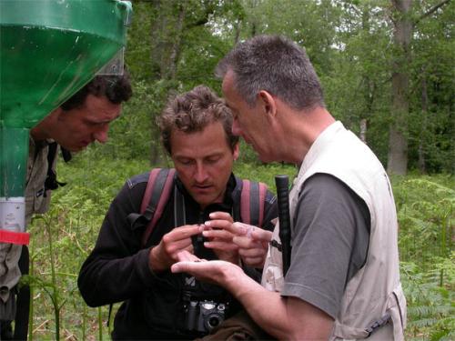 Rambouillet 2005