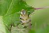 303074 – Photo : florent besson – France (18)