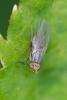 303980 – Photo : Didier Houbrechts – Belgique