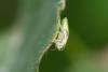 303585 – Photo : Pierre Duhem – France (95)