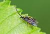 303490 – Photo : Pierre Duhem – France (77)