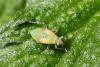 303448 – Photo : Pierre Duhem – France (77)