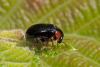 303458 – Photo : Pierre Duhem – France (77)