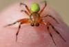303000 – Photo : Christian Berquer – France (50)