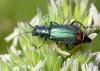 303757 – Photo : Arthropa - Benoit Martha – France (21)