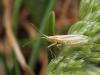 303870 – Photo : Lionel Casset – France (77)