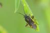 303247 – Photo : florent besson – France (18)