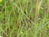 303858 – Photo : Ruben CENTELLES – France (47)