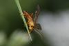 303398 – Photo : Catherine Delecourt – France (28)