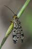 303956 – Photo : Bernard Saquet – Portugal