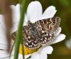 303703 – Photo : Jean-Michel GAREL – France (89)