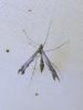 303768 – Photo : Moth-er – France (69)