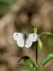 303179 – Photo : BourrinOman – France (12)
