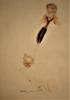 303746 – Photo : Dominique THAUVIN – France (45)