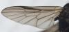 303100 – Photo : Philippe Legros – France (94)