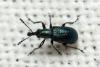 303081 – Photo : André Burgers – Espagne