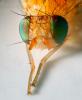 303286 – Photo : Cédric Mondy – France (94)