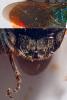 303740 – Photo : Cédric Mondy – France (94)