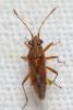 304268 – Photo : André Burgers – Espagne
