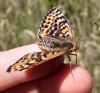 304201 – Photo : Villemain Alexis – France (33)