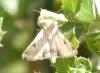 304199 – Photo : Jean-Jacques PORTENEUVE – France (83)