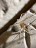 304741 – Photo : Anne SAUNAL – France (67)