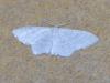 304129 – Photo : Jean-Jacques PORTENEUVE – France (83)