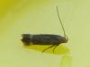 304985 – Photo : Jean-Jacques PORTENEUVE – France (83)