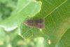 304877 – Photo : J.Ygnard – France (89)