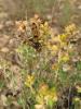 304457 – Photo : Sylvain Fadda – France (83)