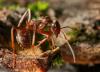 304626 – Photo : Cédric Mondy – France (94)