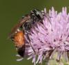 304892 – Photo : éric Pensa – France (13)