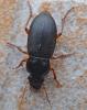 305860 – Photo : Liliane Delattre – France (30)