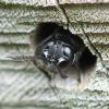 305938 – Photo : Didier Houbrechts – Belgique