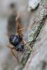 305985 – Photo : Didier Houbrechts – Belgique