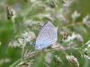 305098 – Photo : Philippe Fourtier – France (38)
